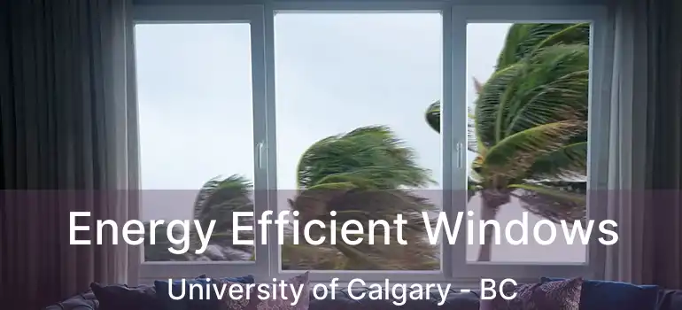  Energy Efficient Windows University of Calgary - BC