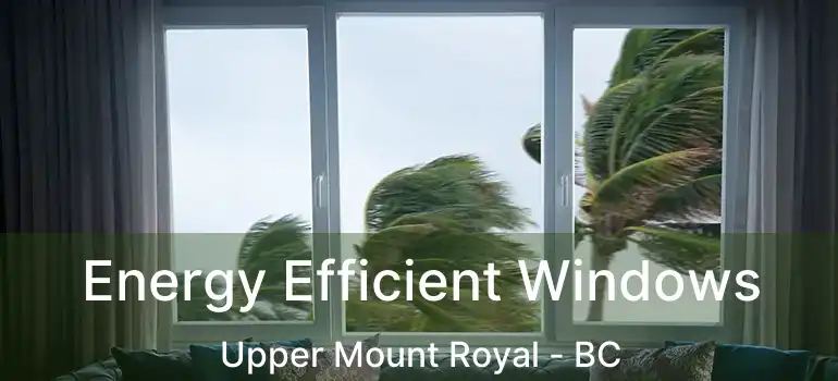  Energy Efficient Windows Upper Mount Royal - BC