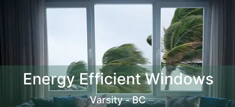  Energy Efficient Windows Varsity - BC