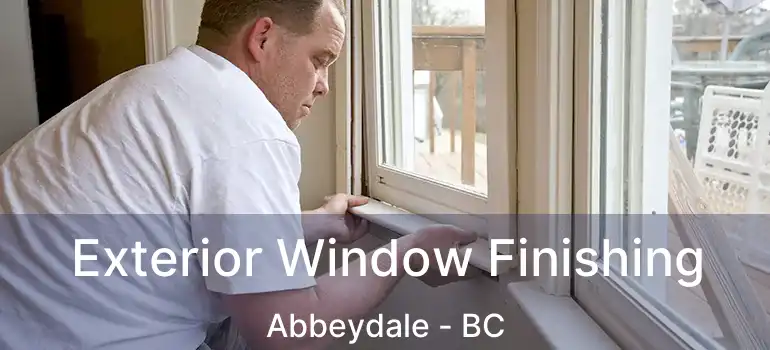  Exterior Window Finishing Abbeydale - BC