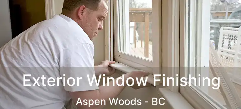  Exterior Window Finishing Aspen Woods - BC