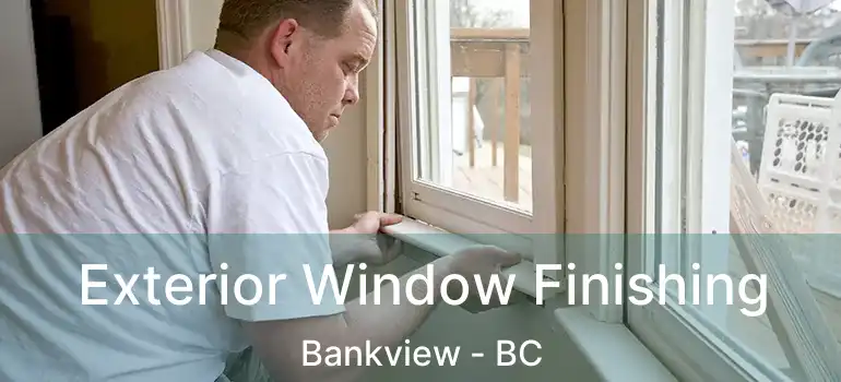  Exterior Window Finishing Bankview - BC