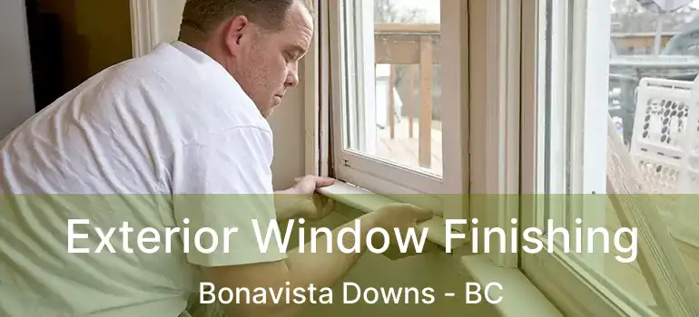  Exterior Window Finishing Bonavista Downs - BC