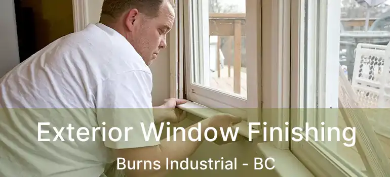  Exterior Window Finishing Burns Industrial - BC
