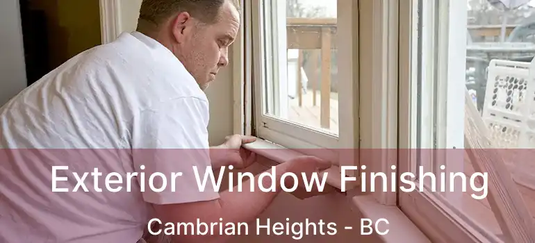 Exterior Window Finishing Cambrian Heights - BC
