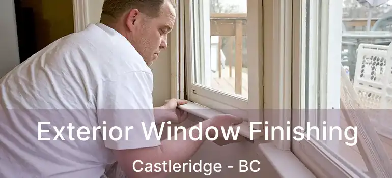  Exterior Window Finishing Castleridge - BC