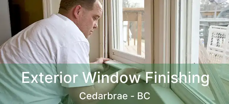  Exterior Window Finishing Cedarbrae - BC
