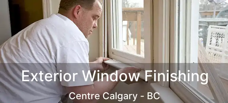  Exterior Window Finishing Centre Calgary - BC