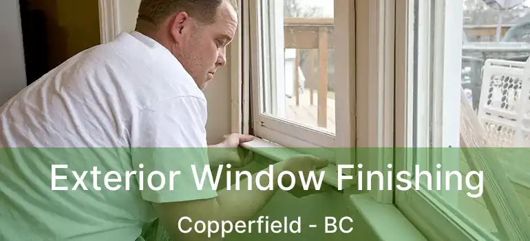  Exterior Window Finishing Copperfield - BC