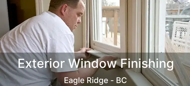  Exterior Window Finishing Eagle Ridge - BC