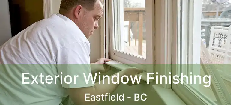 Exterior Window Finishing Eastfield - BC