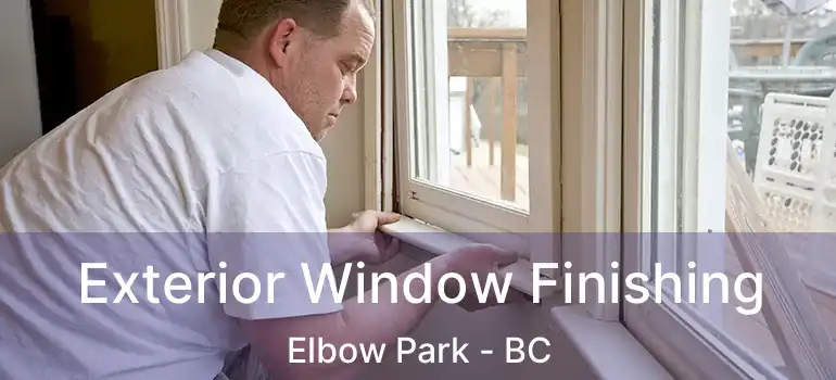  Exterior Window Finishing Elbow Park - BC