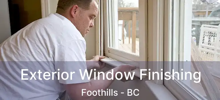  Exterior Window Finishing Foothills - BC
