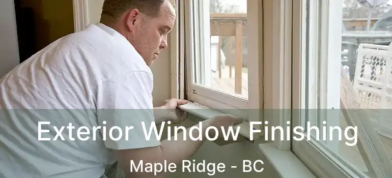 Exterior Window Finishing Maple Ridge - BC