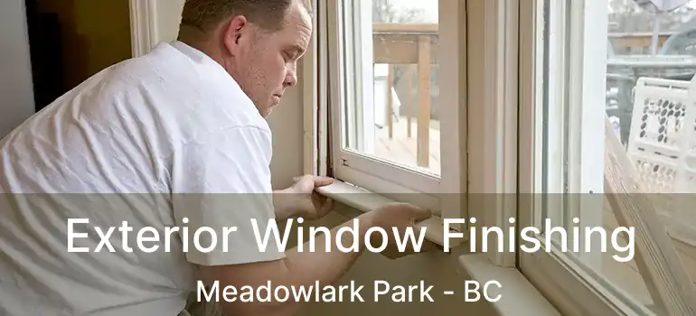  Exterior Window Finishing Meadowlark Park - BC