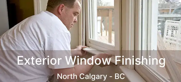  Exterior Window Finishing North Calgary - BC
