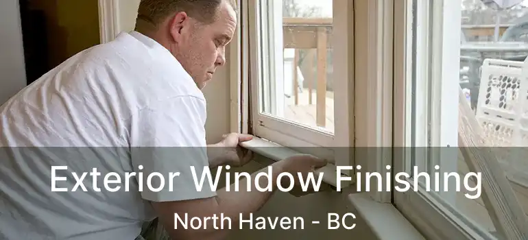  Exterior Window Finishing North Haven - BC