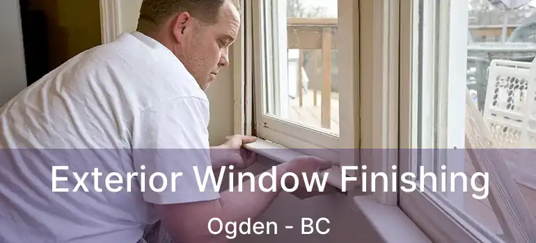  Exterior Window Finishing Ogden - BC