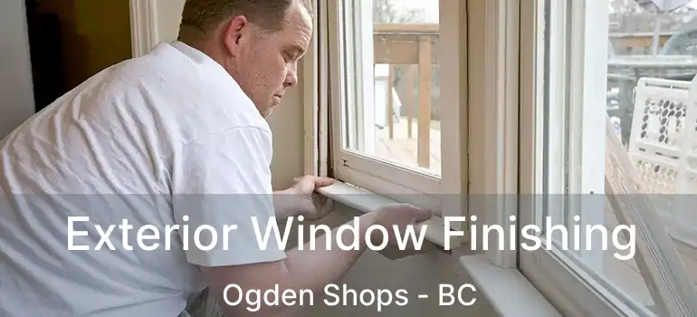 Exterior Window Finishing Ogden Shops - BC