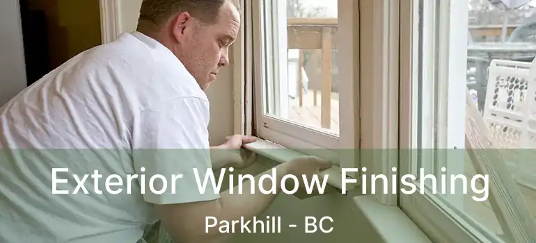  Exterior Window Finishing Parkhill - BC