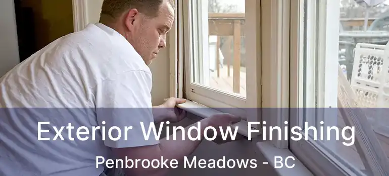  Exterior Window Finishing Penbrooke Meadows - BC