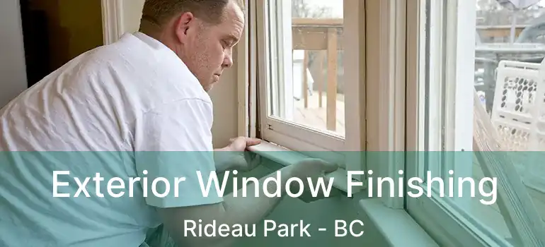  Exterior Window Finishing Rideau Park - BC