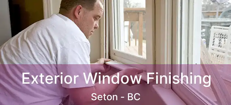  Exterior Window Finishing Seton - BC
