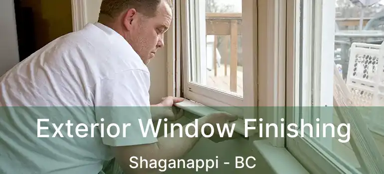  Exterior Window Finishing Shaganappi - BC