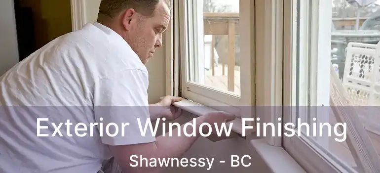  Exterior Window Finishing Shawnessy - BC