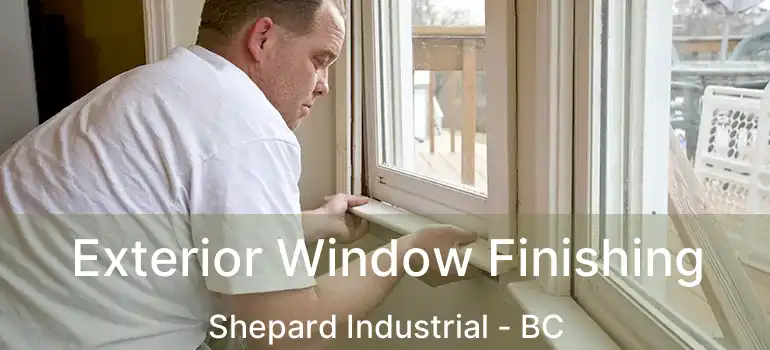  Exterior Window Finishing Shepard Industrial - BC