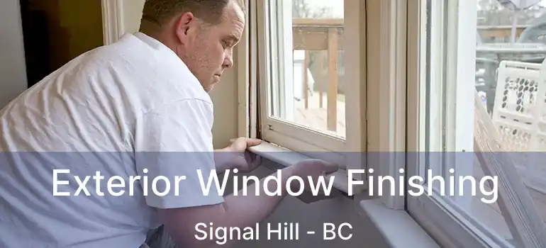  Exterior Window Finishing Signal Hill - BC