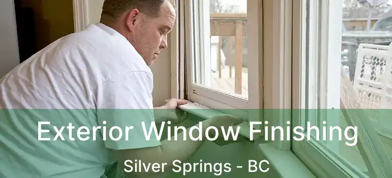  Exterior Window Finishing Silver Springs - BC