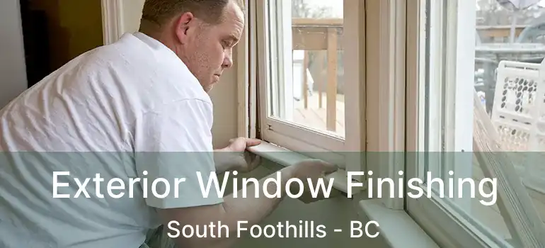  Exterior Window Finishing South Foothills - BC