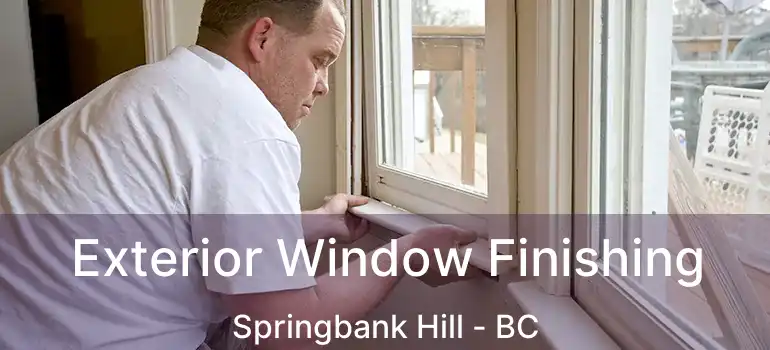  Exterior Window Finishing Springbank Hill - BC