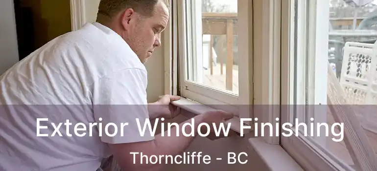  Exterior Window Finishing Thorncliffe - BC