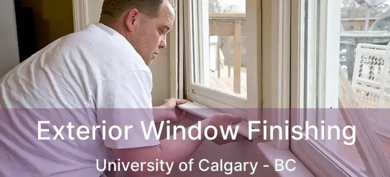  Exterior Window Finishing University of Calgary - BC