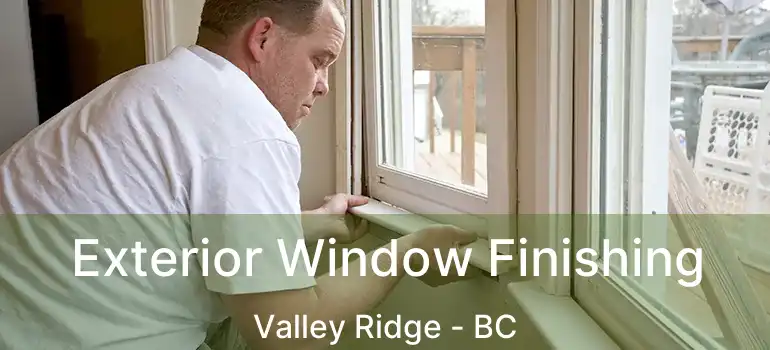  Exterior Window Finishing Valley Ridge - BC