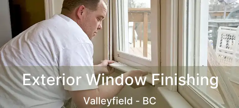  Exterior Window Finishing Valleyfield - BC