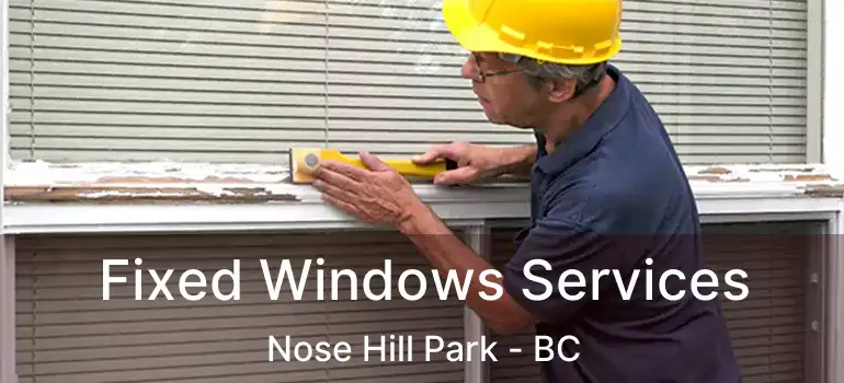  Fixed Windows Services Nose Hill Park - BC