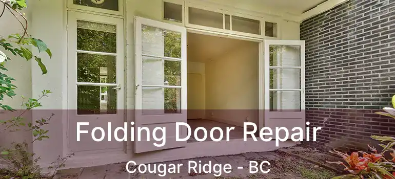  Folding Door Repair Cougar Ridge - BC