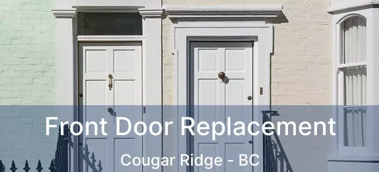  Front Door Replacement Cougar Ridge - BC