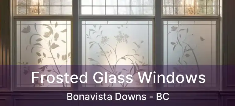  Frosted Glass Windows Bonavista Downs - BC