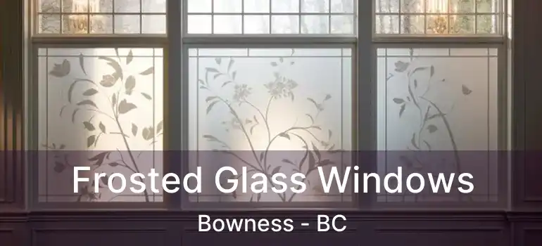  Frosted Glass Windows Bowness - BC