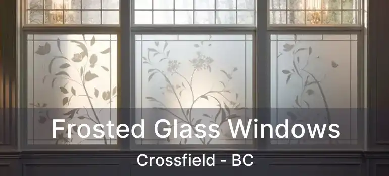  Frosted Glass Windows Crossfield - BC