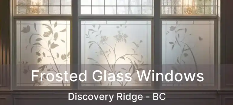  Frosted Glass Windows Discovery Ridge - BC