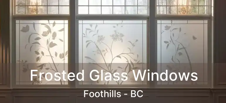  Frosted Glass Windows Foothills - BC