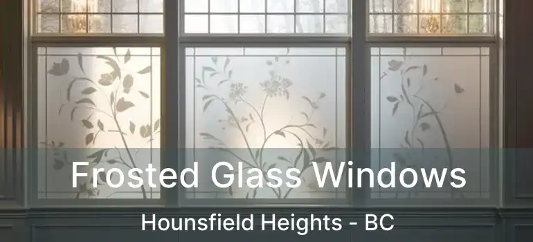  Frosted Glass Windows Hounsfield Heights - BC