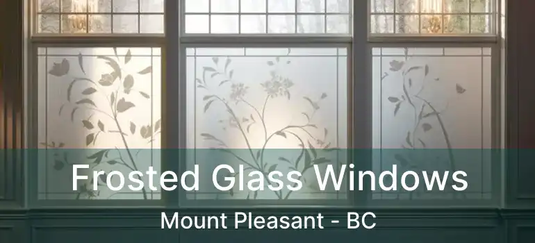  Frosted Glass Windows Mount Pleasant - BC