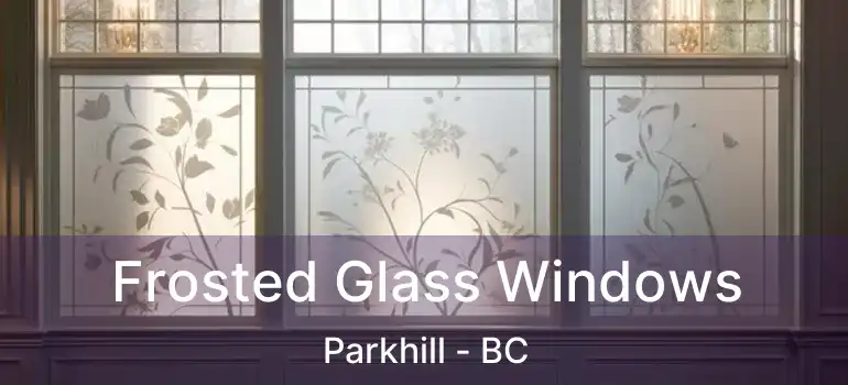  Frosted Glass Windows Parkhill - BC