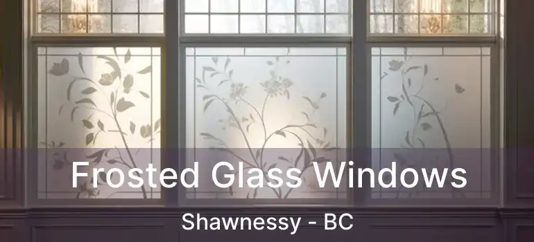  Frosted Glass Windows Shawnessy - BC
